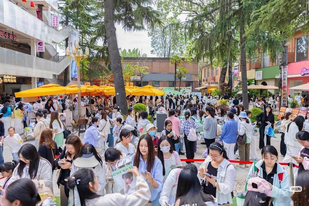 我天洁玉就这么水灵灵的给成毅搞了个痛街玩吗，成毅内娱活粉数这一块没得说啊