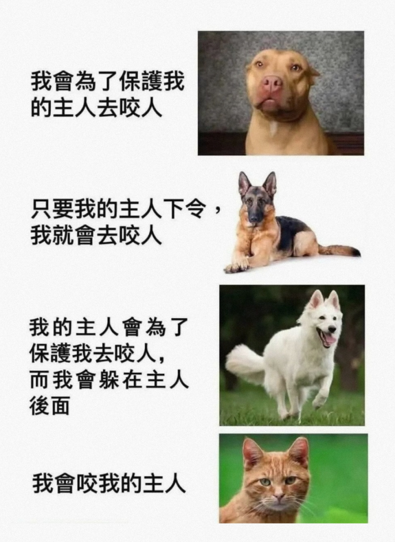 如何看我自己的画