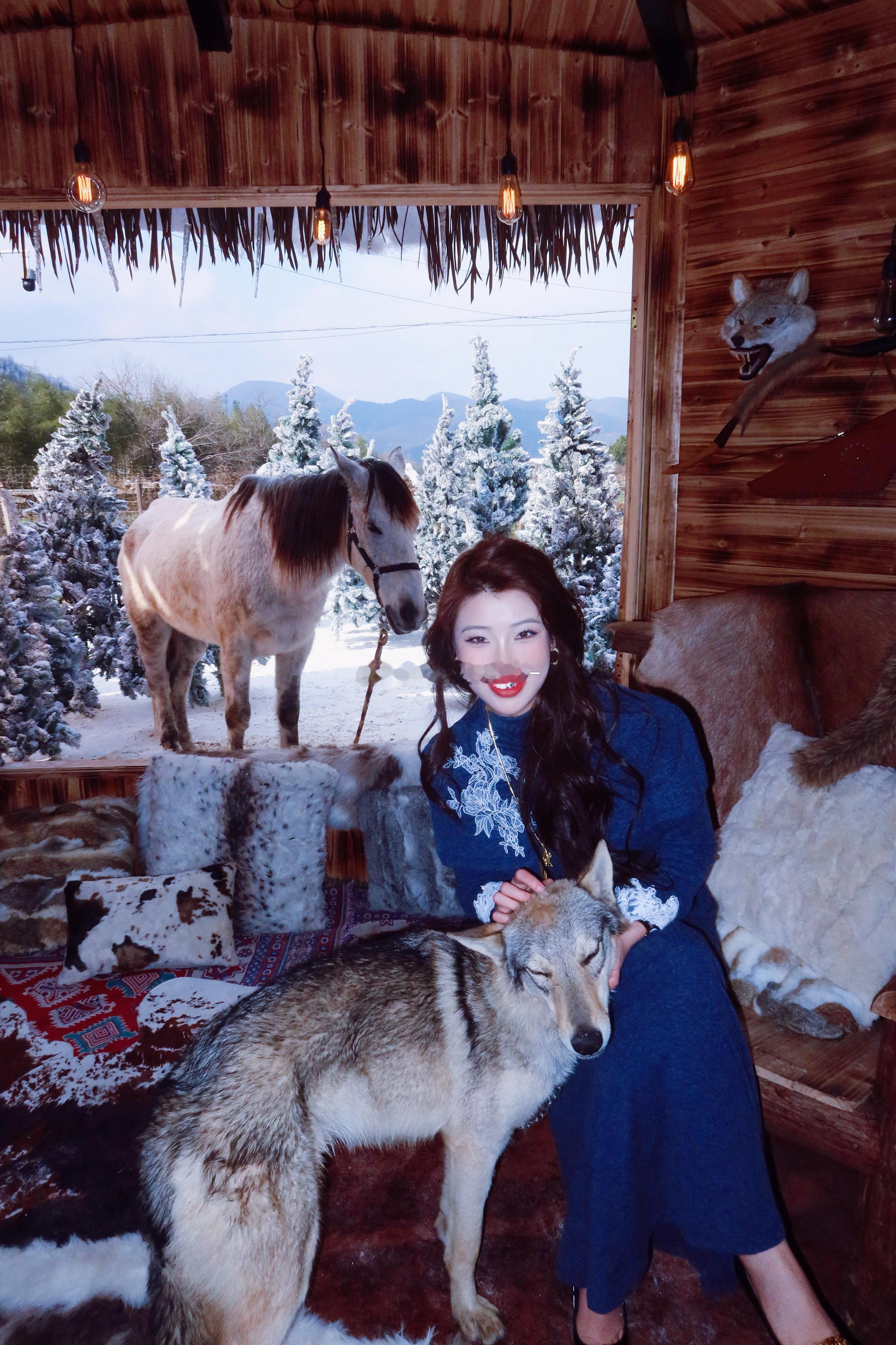 好无聊发个微博看看有没有人骂我