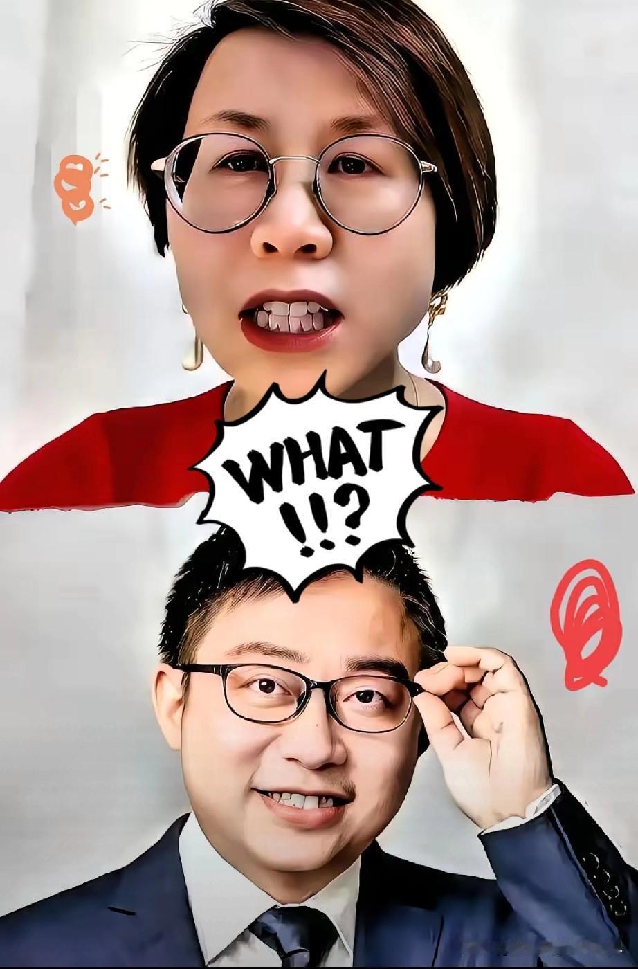 当沈逸质问赵宏教授：“你们的课题经费哪儿来的？”说出这一句话后，赵红教授的屏幕黑