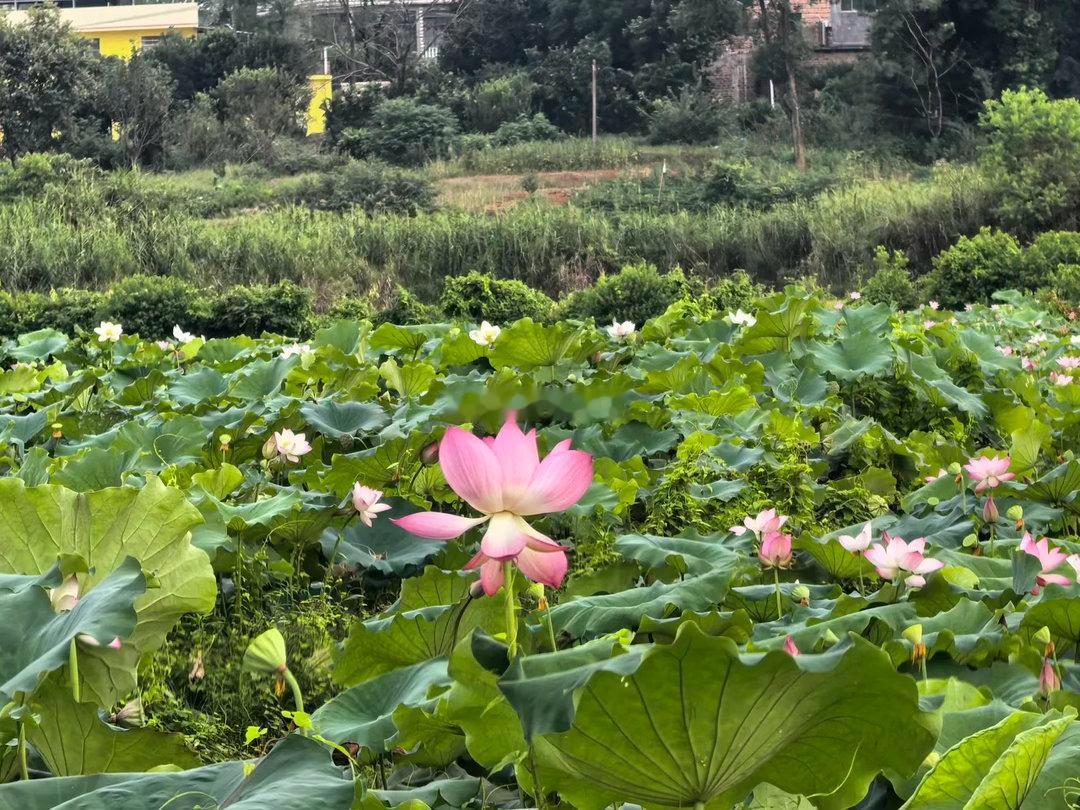 A股最高涨到3926点，最后的提醒，无论几成仓，听我一句心里话！行情要"改朝换代