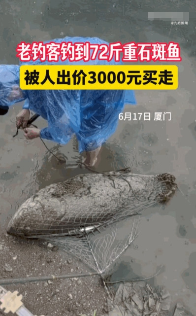 “这就是命啊！”6月17日，福建厦门，一男子冒雨在河边钓鱼时，竟钓上来一条72斤