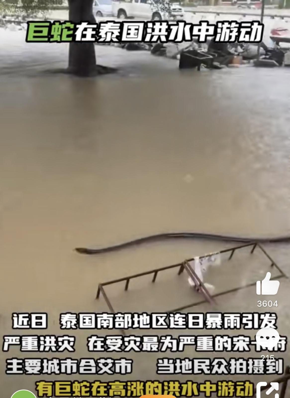 最近泰国的洪灾真是让全世界都揪着心，尤其是网上疯传的一段视频，直接把不少人看懵了