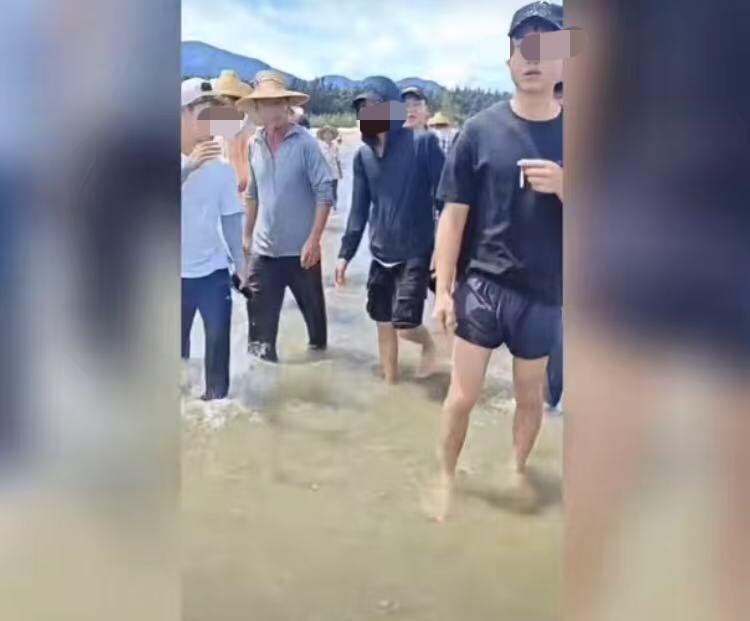 阳江出现了“海霸”？有游客爆料，几个人在海边赶海拾贝时，遭遇了海边一群不明身份