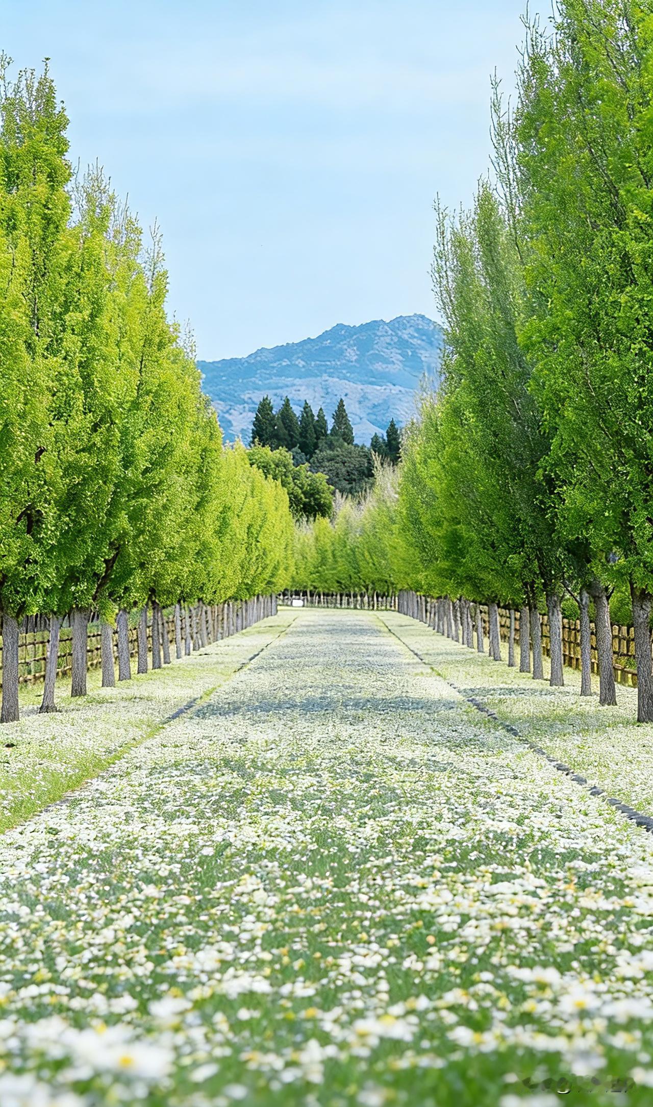 一位情感学家说：“一个男人如果得不到这个女人的身体，他就不会爱这个女人。男人接