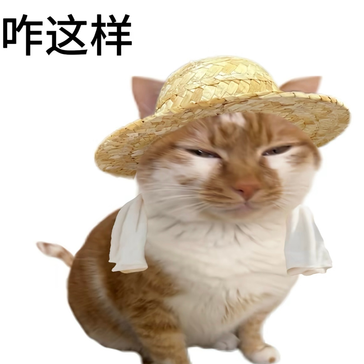没招了世界对我好一点好不好