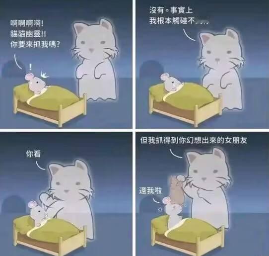 还给我