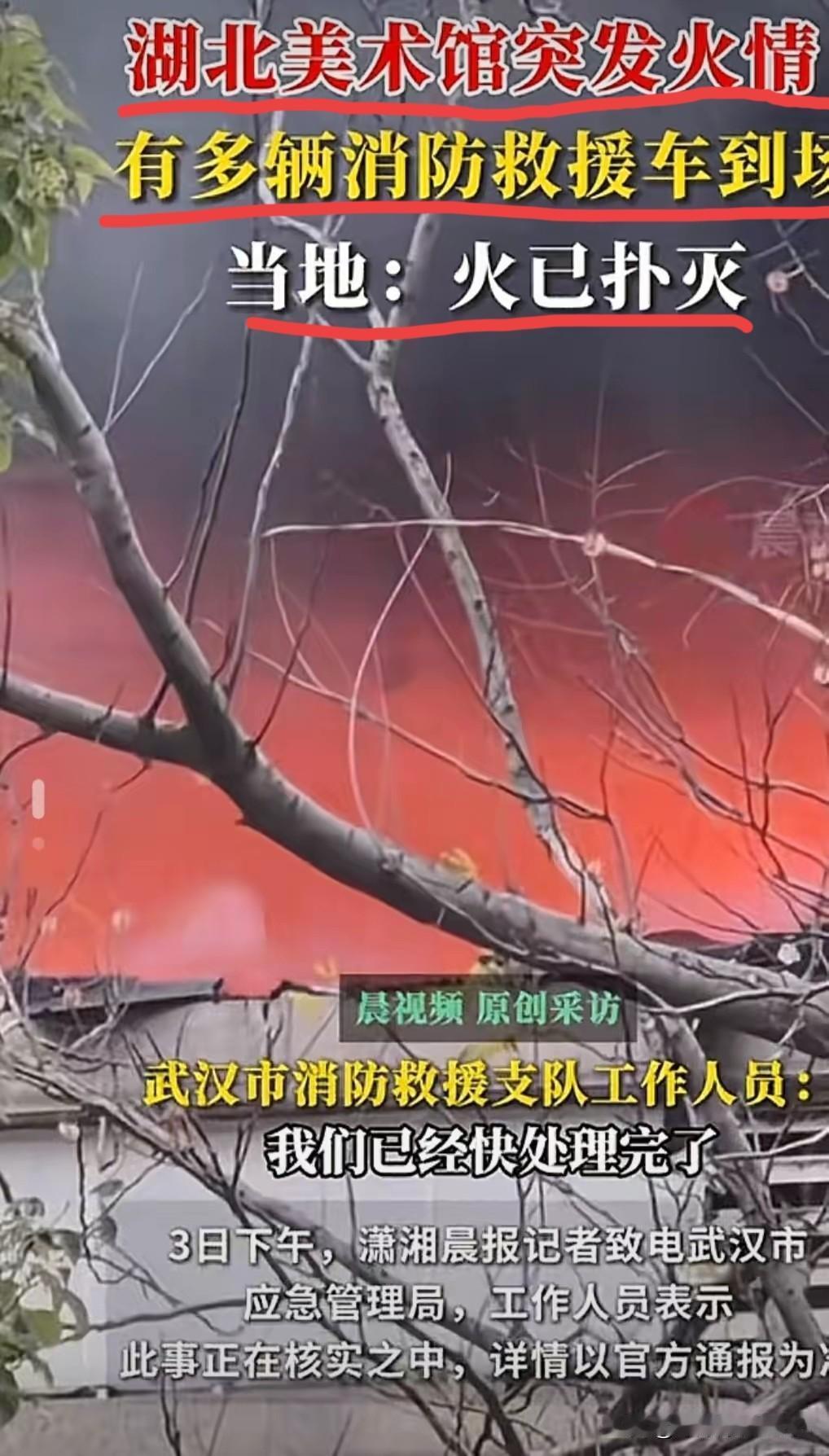 这事儿真是越琢磨越邪门！南博那个烂摊子刚出来，我有个哥们儿就神神叨叨的，非说