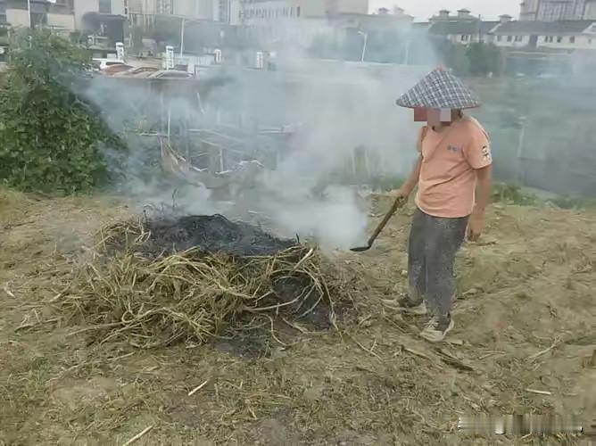 作为农村出身的基层干部，我支持河南省固始县依法惩处乱烧秸秆的农妇。2026年9月