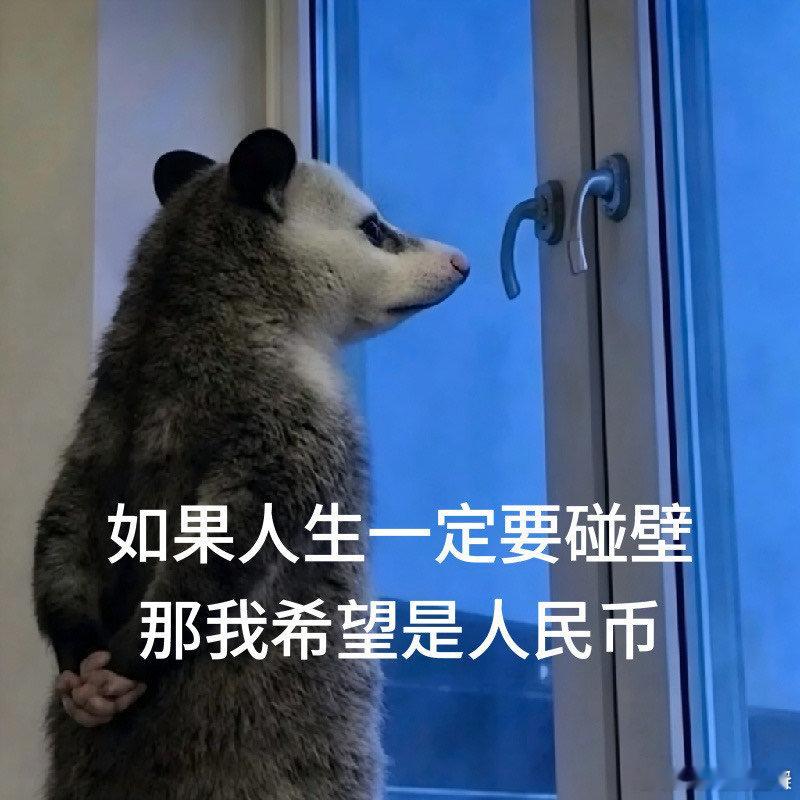 第一批爱许愿的受益者出现了刚刷到有人许愿“希望猫别拆家”，结果他家猫今天居然乖