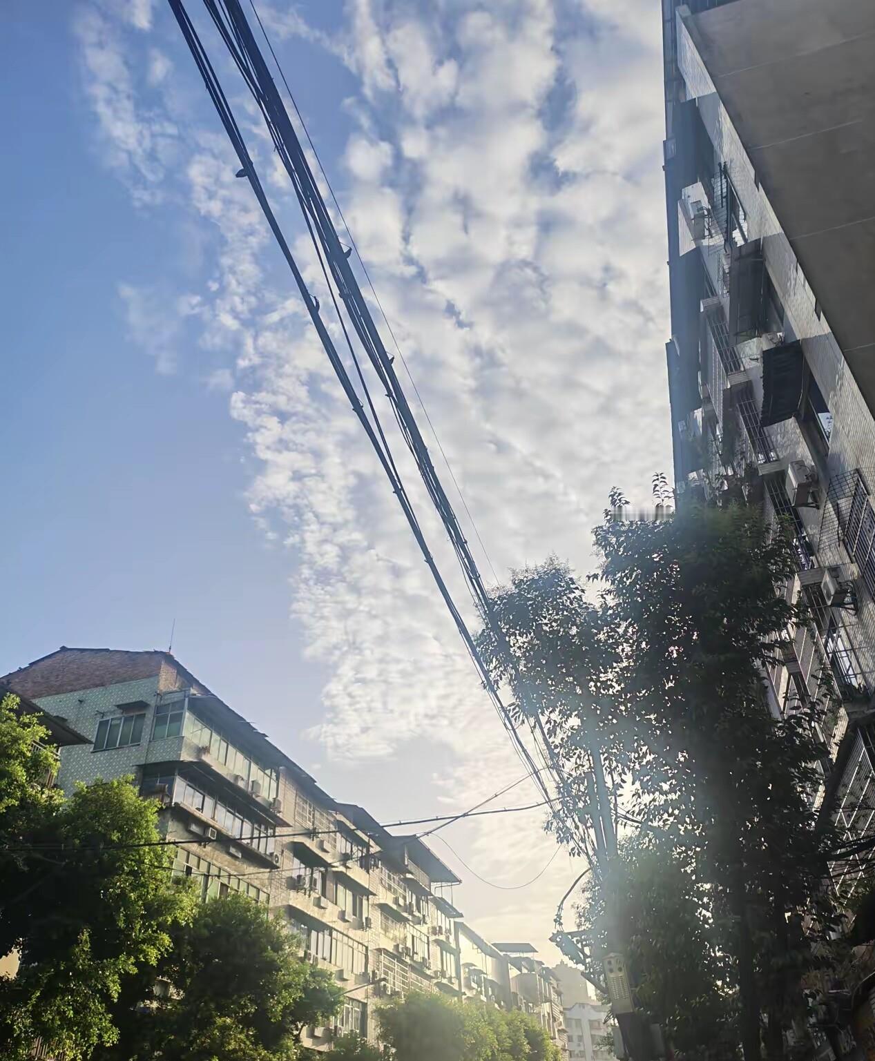 我爸去世后留下一套老房子，我和姐姐商量着卖了平分，可收拾遗物时发现衣柜夹层里有一