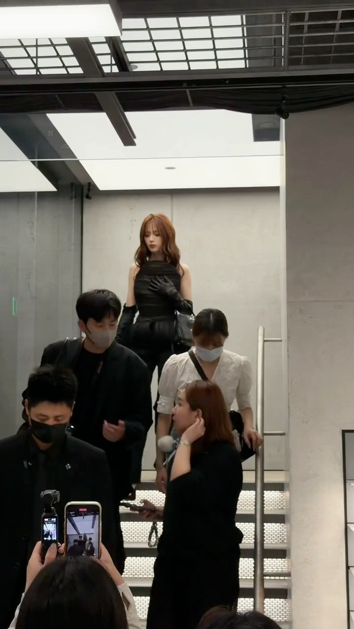 两天了我还没走出来，美神下个楼梯都那么权威美美哒吸睛。最后一张臭屁小猫。杨超越杨