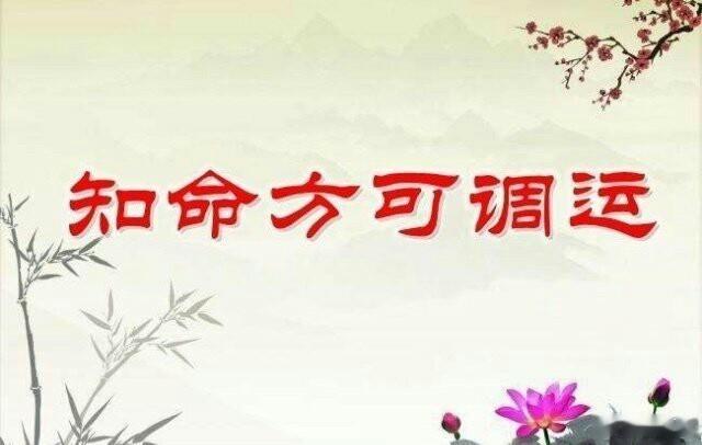 #命运##运程#四柱论地支六合卯戌合，正化为火。命局中真正的火旺而成势才行，但可以有寅木帮，却不能有