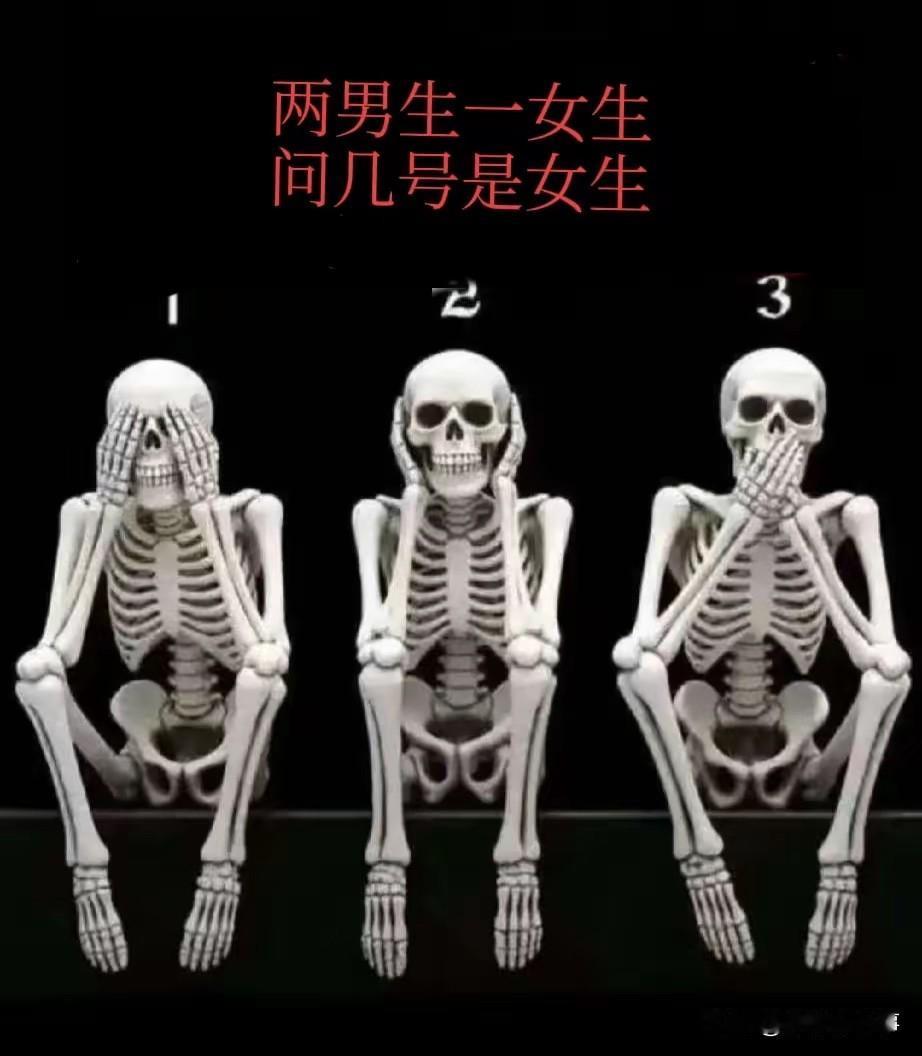 三具骨架里藏着个“小姐姐”，你能一眼揪出来不？三具骨架排排坐，两男一女玩猜猜