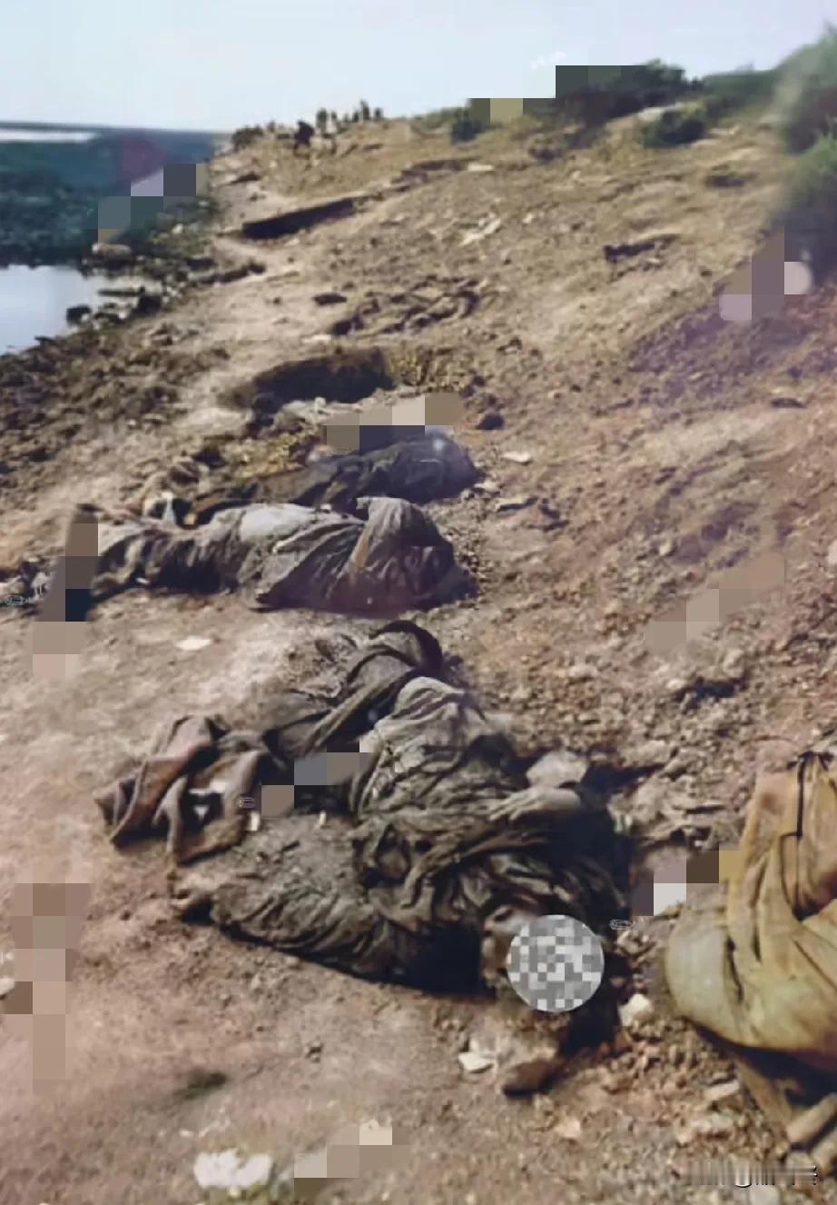 这是法卡山高地战后惨烈的画面！1981年的法卡山收复战，惨烈程度超乎想象。战