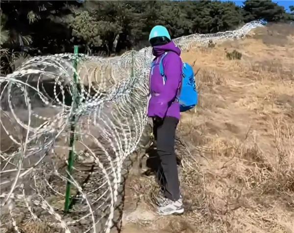 泰山铁蒺藜拆了，两千多万买了个教训：有些决定，当初该再多想想泰山景区说，花25
