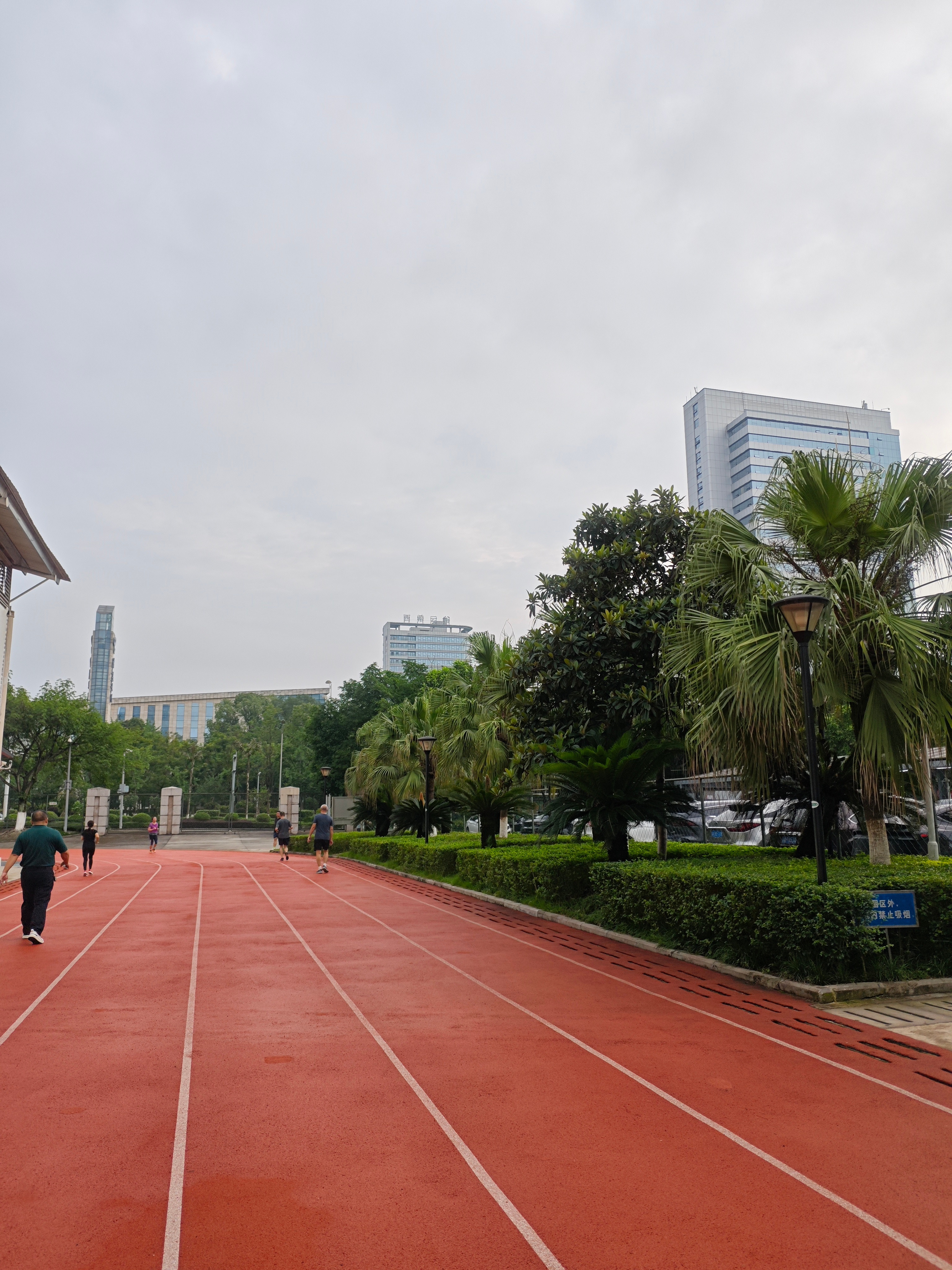 跑步锻炼日常：10Km+力量训练；今天在凯健体育场偶遇一只“教练猫”，趴在在1道