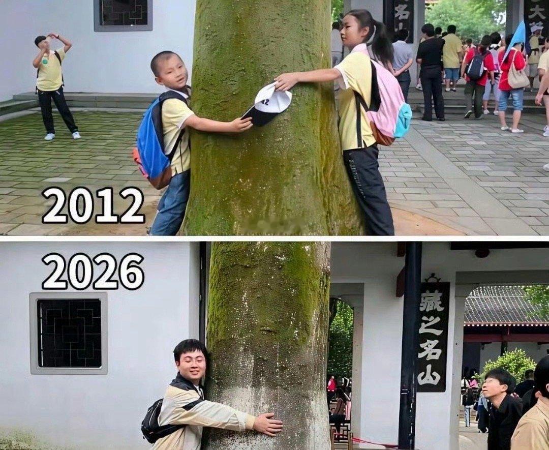竹马还在青梅没了