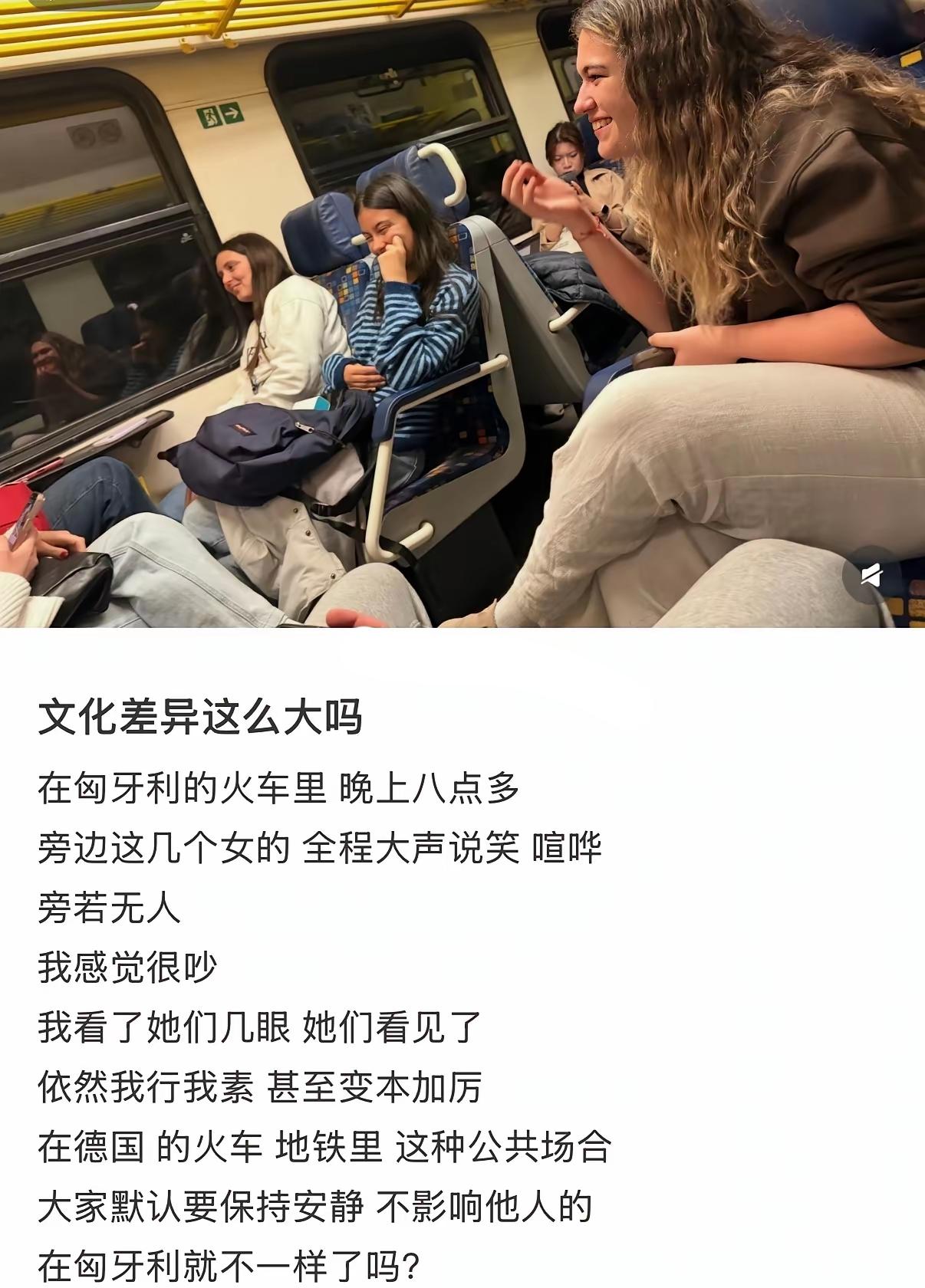 公知告诉我们说，外国火车里的乘客都是安静看书的。
