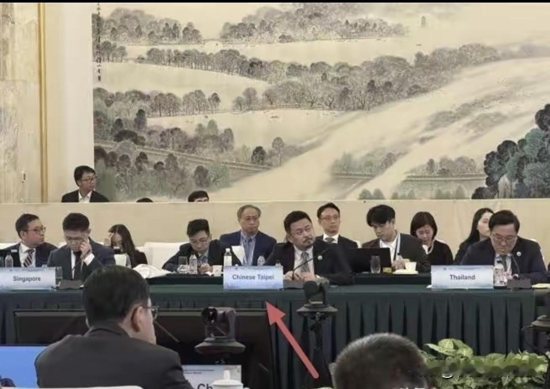 洪申瀚和中华台北的铭牌合影显得格外明显，但绿方却保持沉默、不敢有任何不满。岛内劳