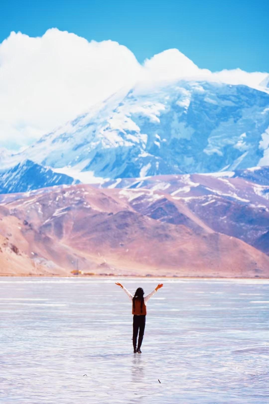 🚗堵哭了vs跑爽了？高速免费要改作业了！🚗姐妹们，今天2026全