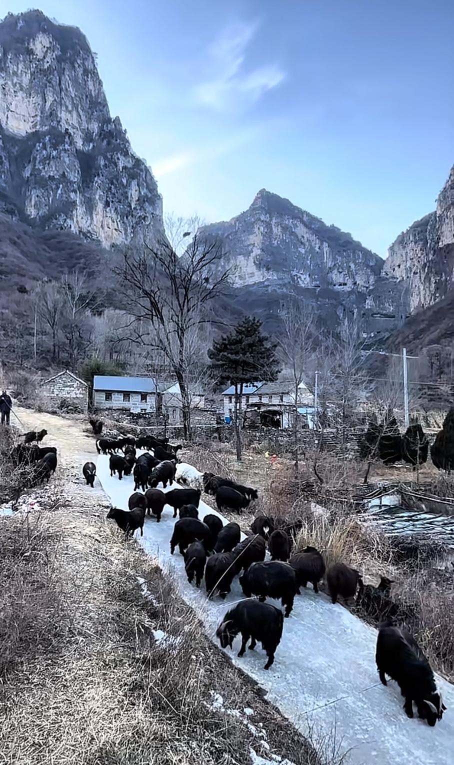 知道徐州老“人民公园”的年龄都在60多岁以上了，1984年才改成快哉亭公园！云龙