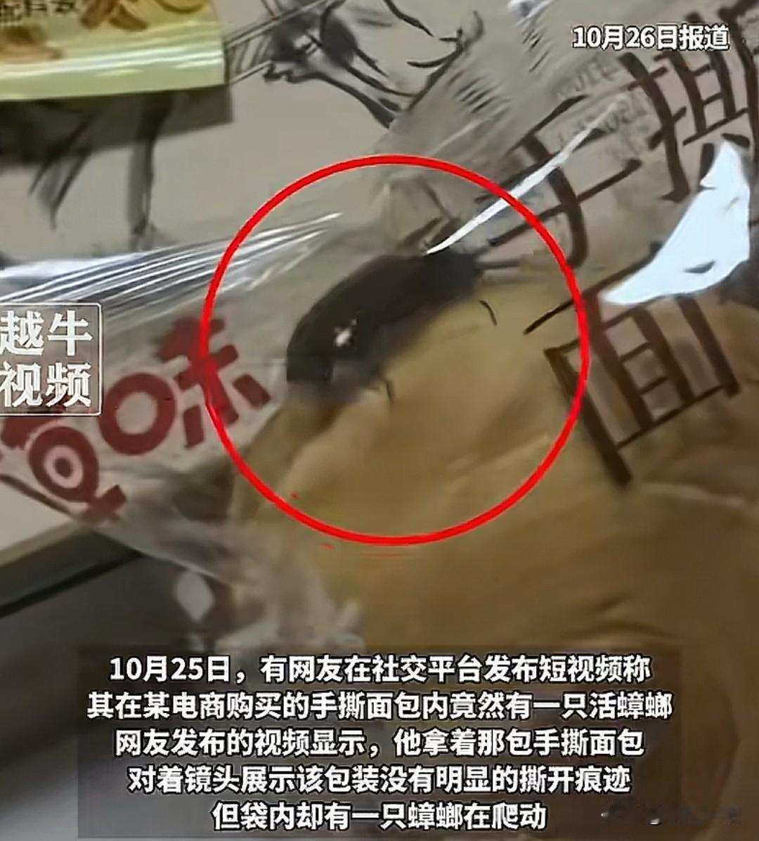 这哥们嘴里没有一句真话，江苏南通小哥买的面包里，一只蟑螂在氮气密封的包装袋里，不