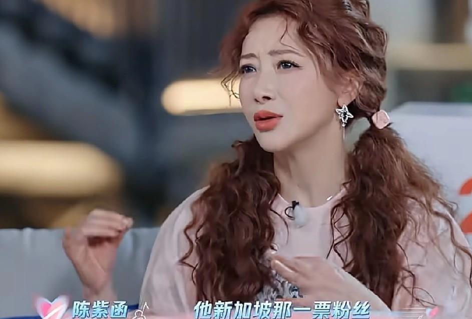 陈紫函说：“我刚和戴向宇谈恋爱的时候，戴向宇新加坡那边的粉丝强烈反对，说我配不上