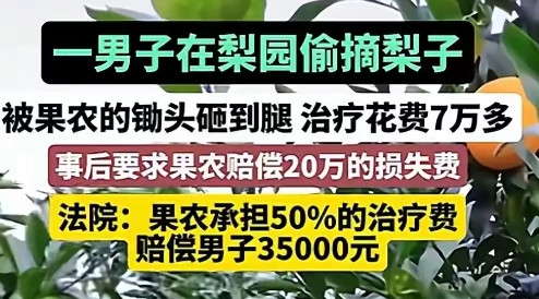 小偷还能获得了巨额赔偿！这样的判罚，在现实生活中，着实给我们上了一课。一男子偷