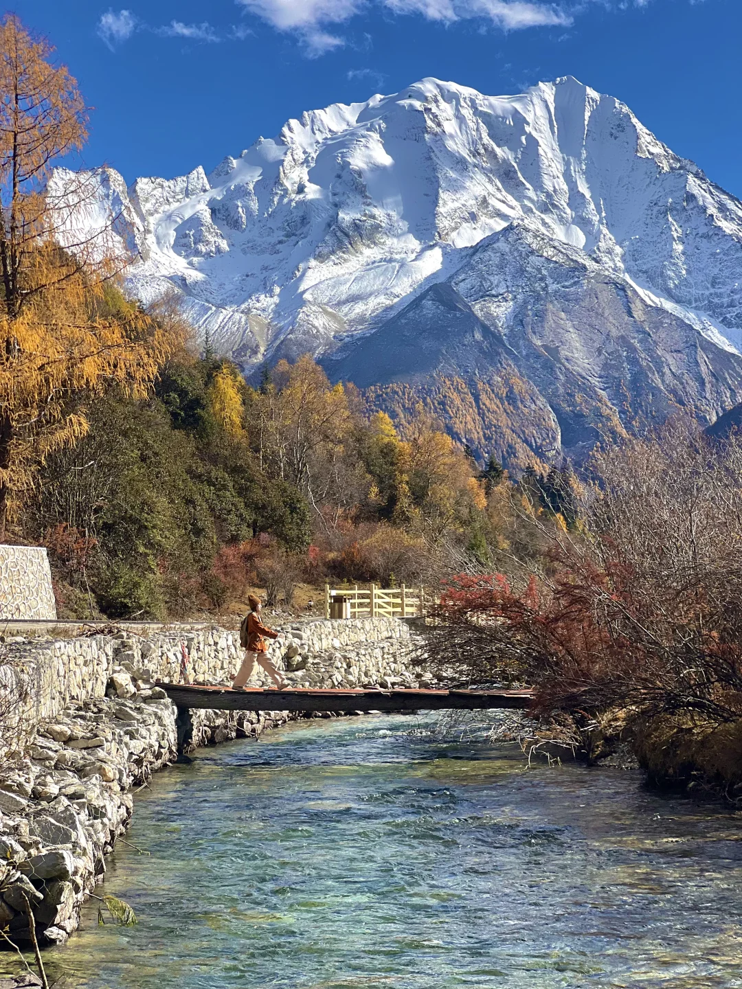 在川西拍到了人生live🍁封神的秋天！
