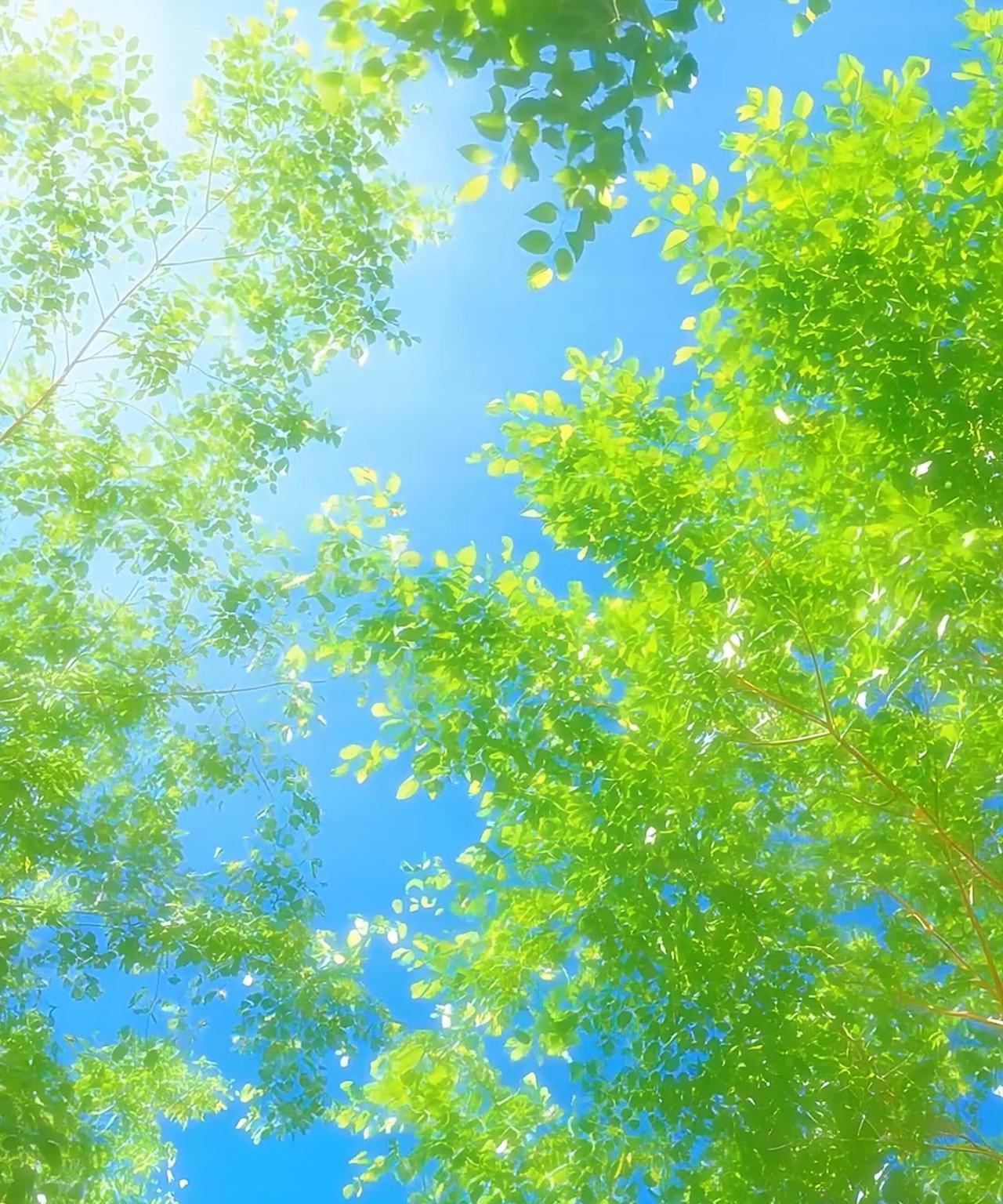 人活着要永远记住这些很现实的事第一件事没有什么事情是值得你一直念念不忘和