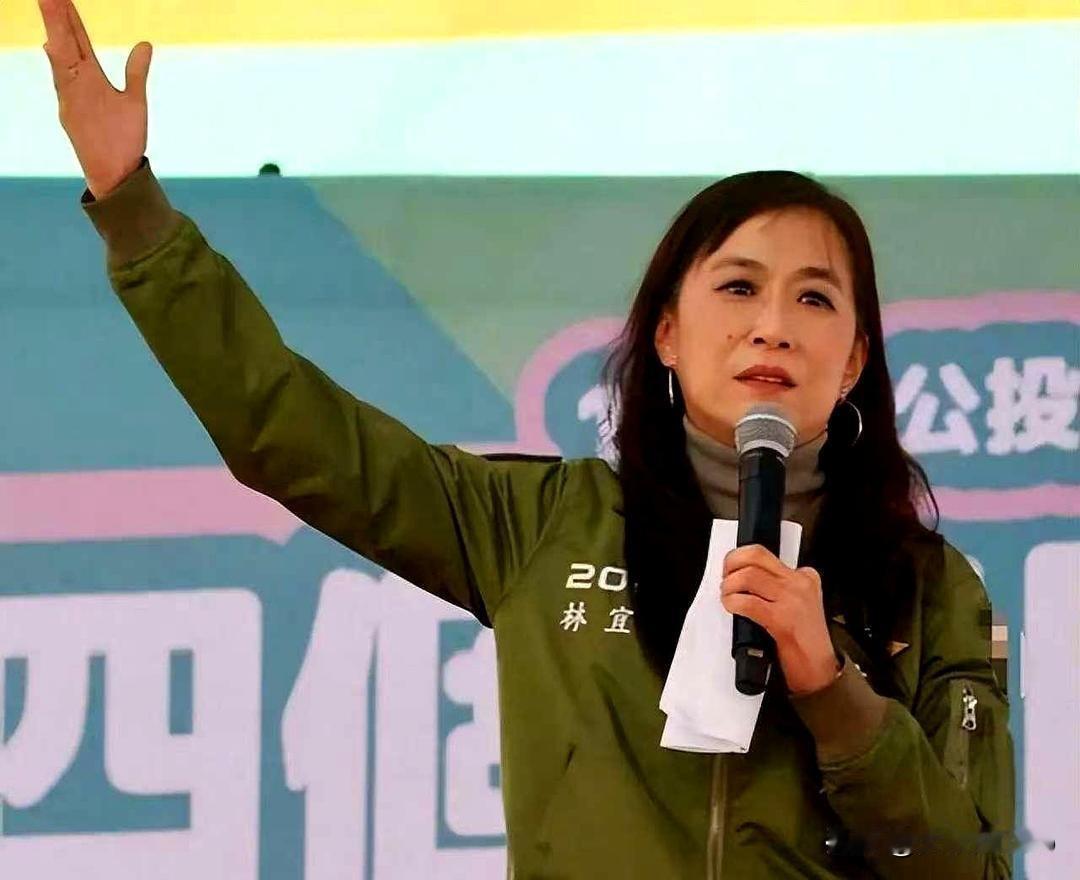 台独提案2天夭折！美国亮"弃台"，"疑美"成岛内共识1月3日，民进党立委林