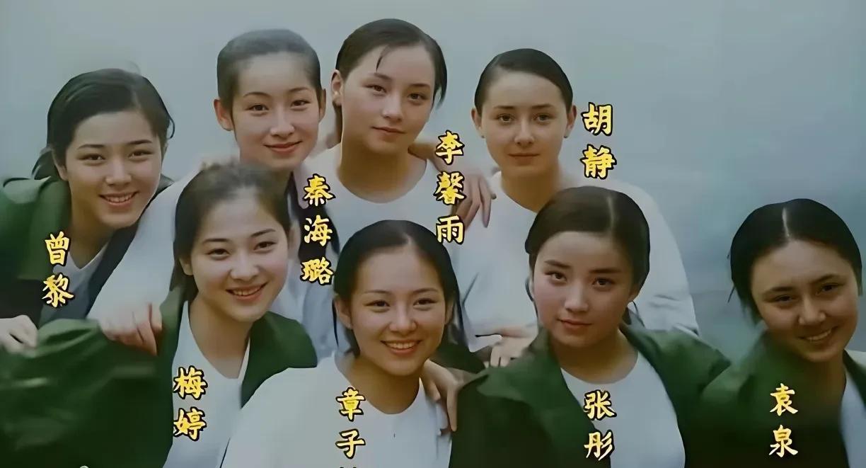 看当年的中戏八大金钗学生时期的照片，看得出来都是原生态，第一眼看过去感觉梅婷长得