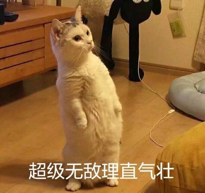 不要钱为什么不喝