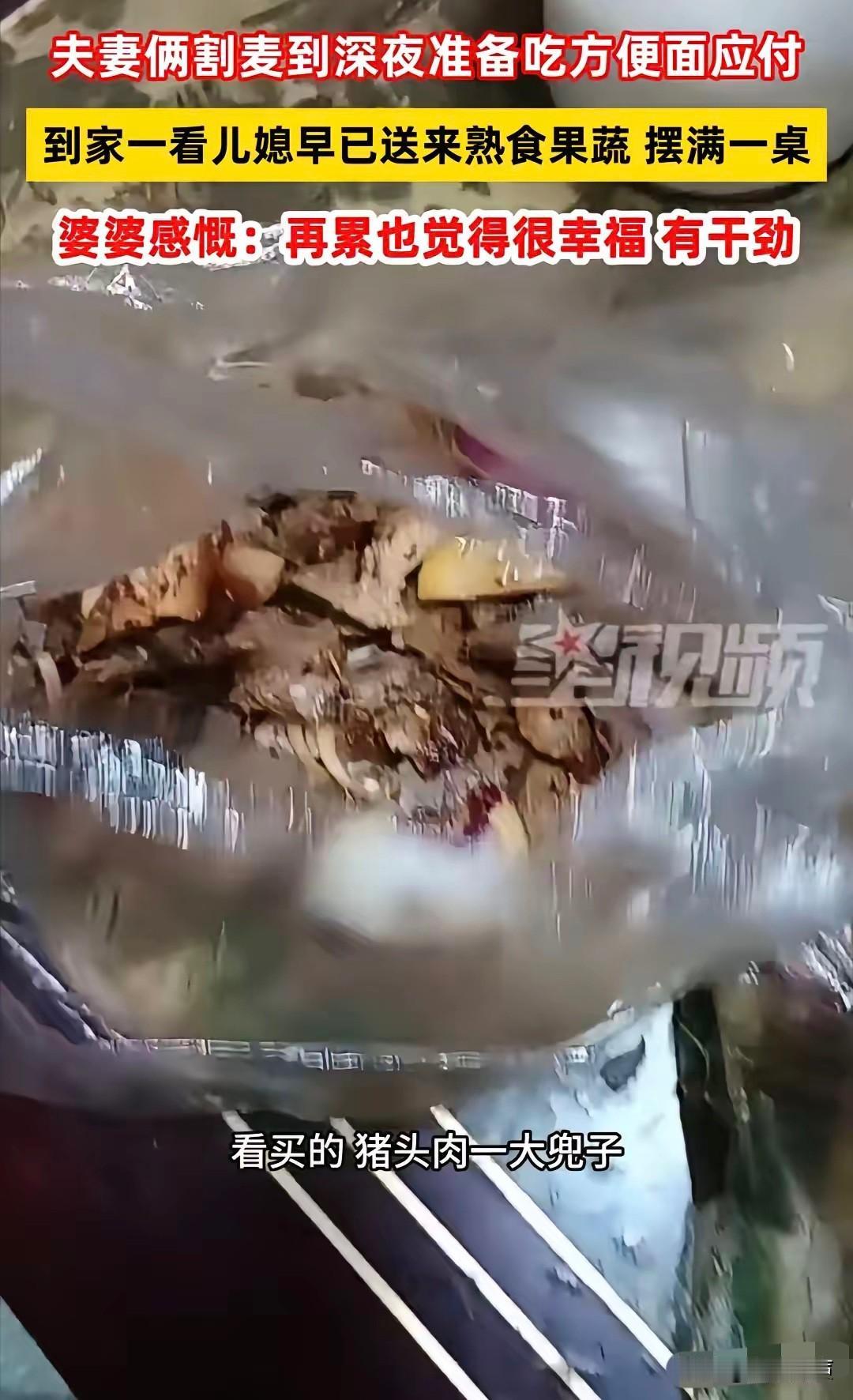 “真好！”河南，老两口割完麦子到深夜，打算泡方便面对付一口，进屋惊喜发现一大兜猪