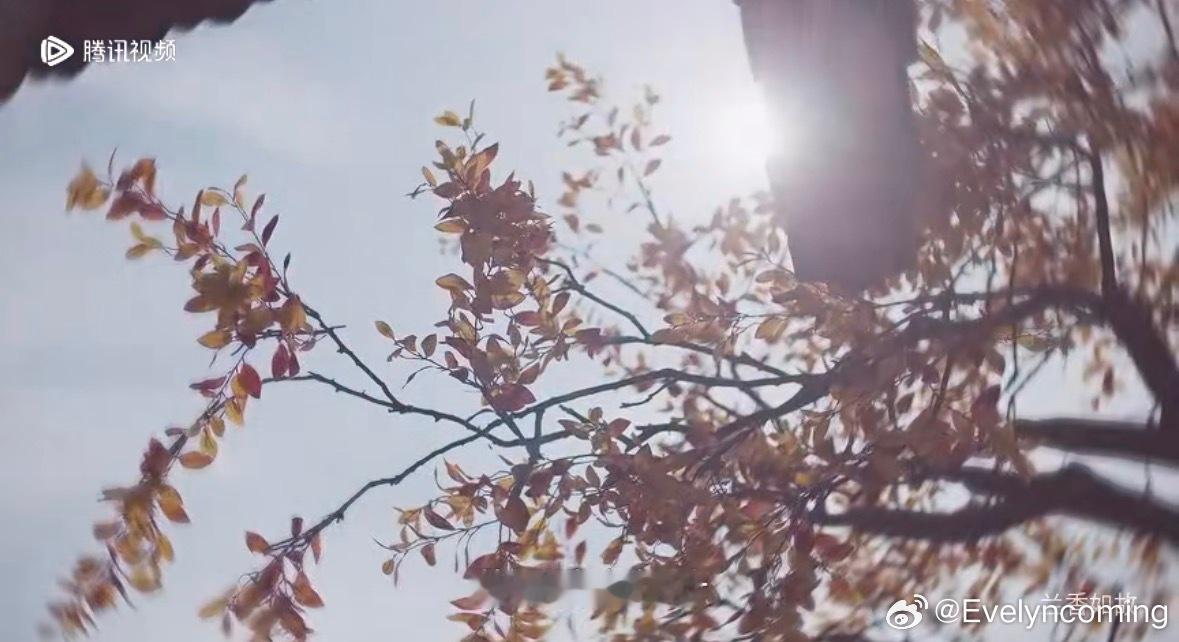 真的格外偏爱《兰香如故》，在我心里，它是近二年最好看的剧，它的立意，在当下又抵达了一个新的高度。追剧