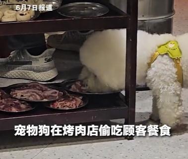 6月7日，湖南衡阳！新京报曝光了一件极其膈应的就餐怪事，一经流传迅速引爆网络。好