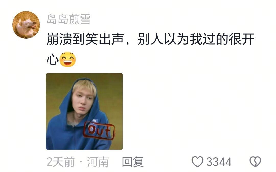 笑死！原来我是nice型人格