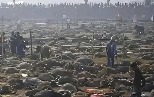 有时候，一个国家的穷，真不是没道理的。就说尼泊尔吧，一个不发达国家，却在嘉蒂麦