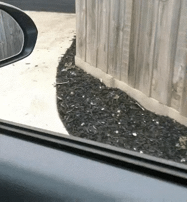 这个真的厉害，我看了两遍才看得出来。