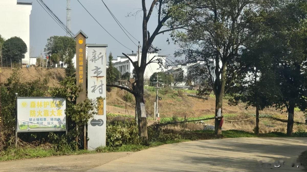 极目新闻记者今天实地探访抢猪肉的村子，收场地费的当事人吴先生还是非常激动的说