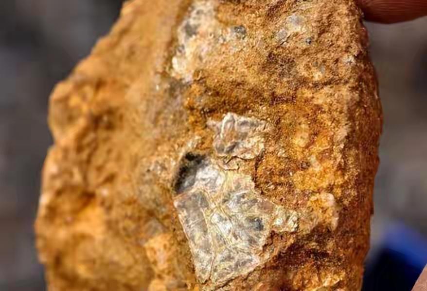 8岁男孩爬山大喊山下有黄金，真相曝光后，打脸多少敷衍教育的父母男子与家人在