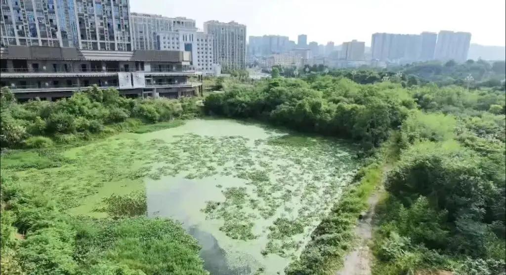 “把人坑惨了！”湖南，一女子在黄金地段买了一套140平的大房子，每平63