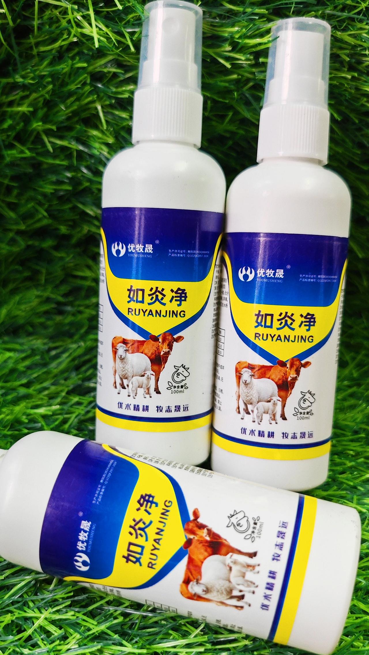 养羊农村养羊牛羊养殖