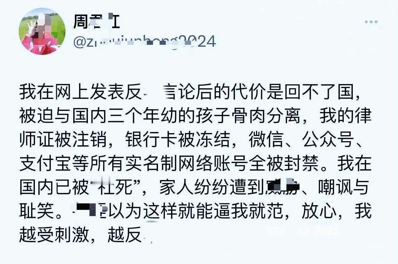 润人破防了，想回国回不了，她的银行账户被冻结、社交账号被封禁、律师证被注销，如今