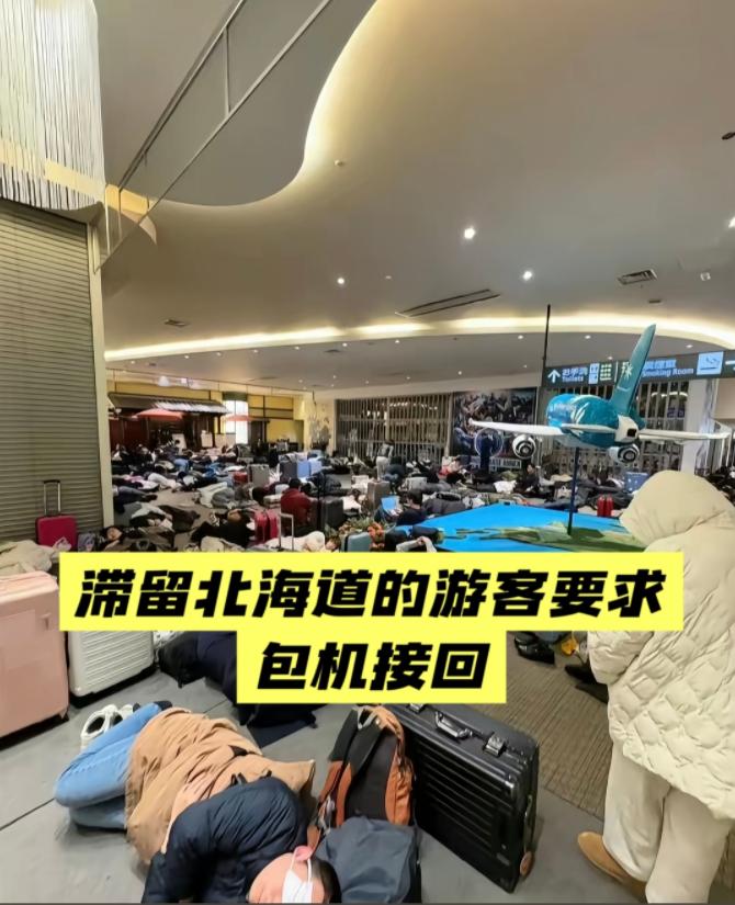 “快派包机来接我们”！近期，日本北海道遭遇罕见暴雪，约7000名旅客滞留，部分中