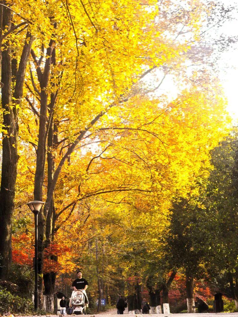 怎么样让自己保持快乐的心情每天做自己喜欢的事情，享受做的过程，从中寻找开心瞬间，