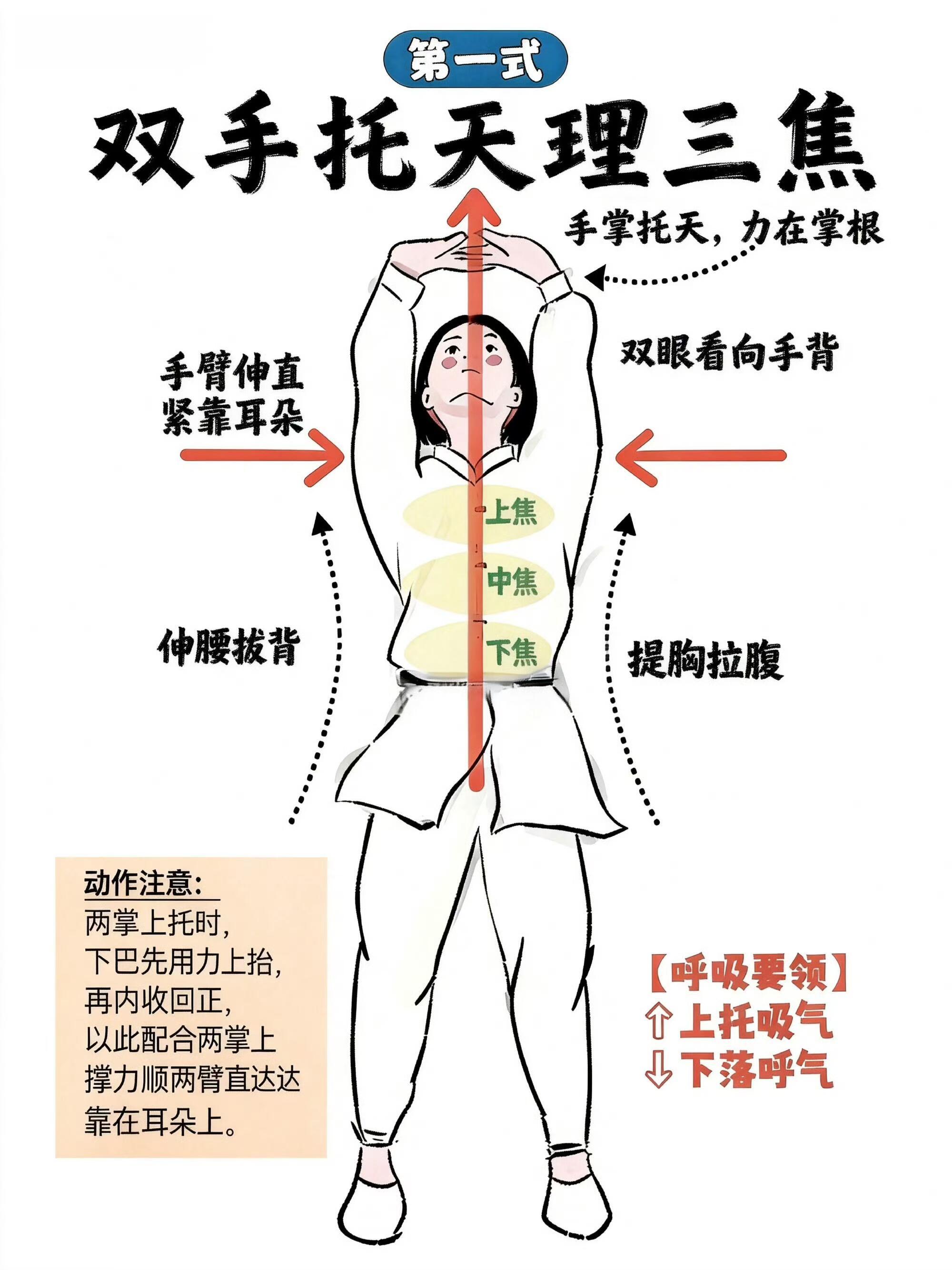 超全的八段锦细节，建议大家都练一练国医的精诚力量