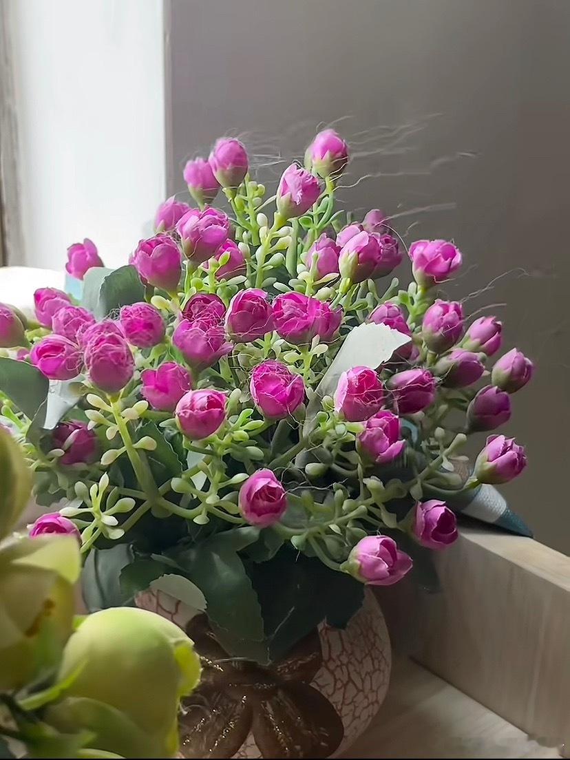 猫咪走过的地方都会留下痕迹