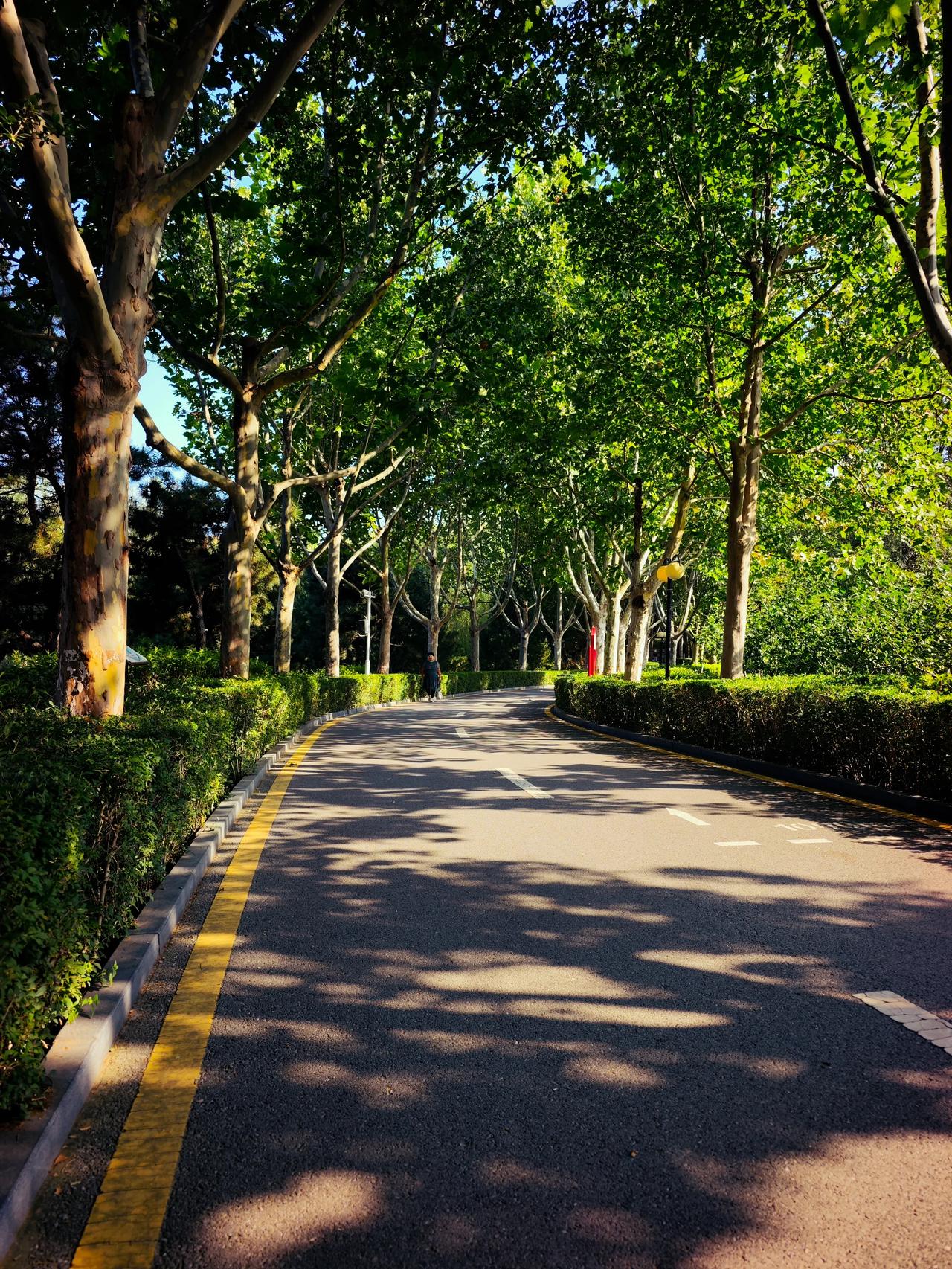 家乡的小学，新学期报名的孩子非常少，只有几名新学生，校领导、教师和其他人员加在一